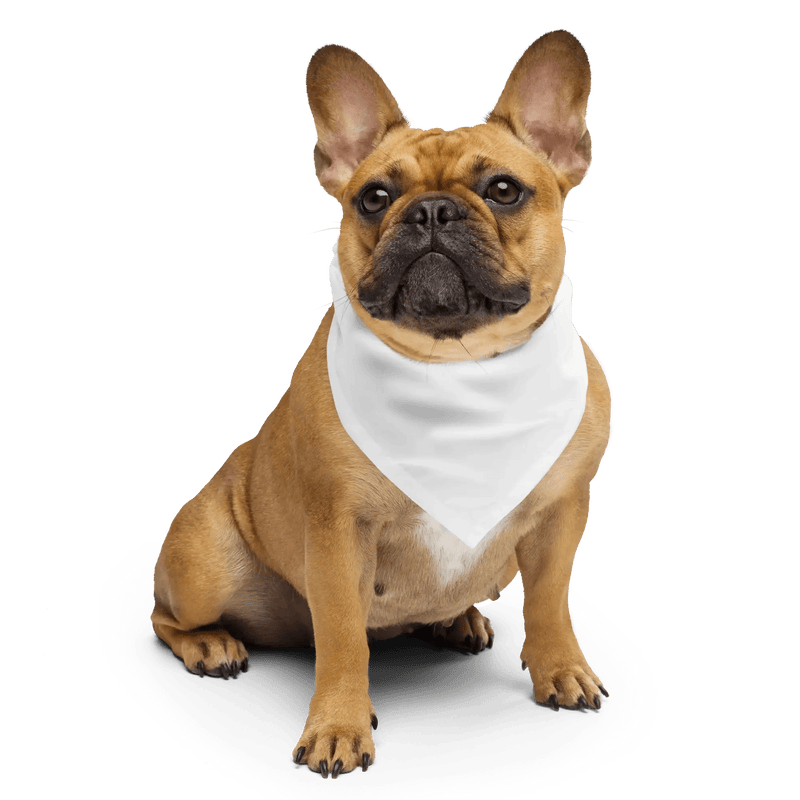 Custom Pet Bandana - Arklavo