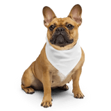 Custom Pet Bandana - Arklavo