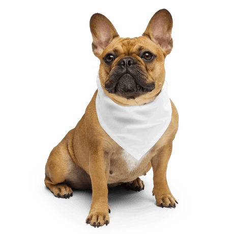Custom Pet Bandana - Arklavo