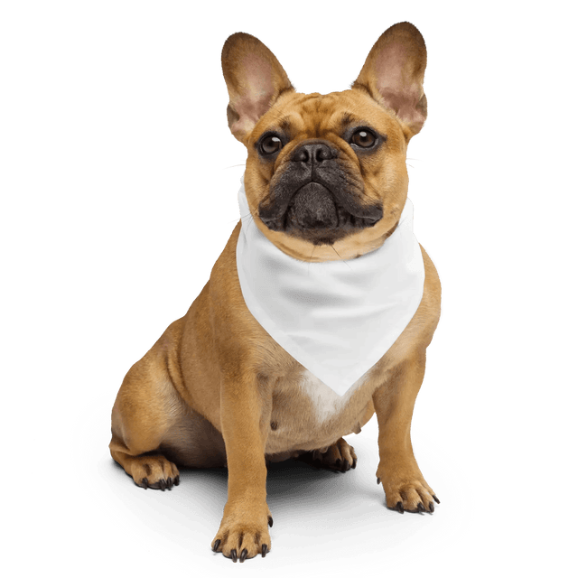 Custom Pet Bandana - Arklavo